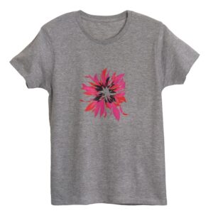 Fireworks - Gray Crew Neck